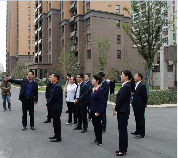 住房和城鄉建設部副部長倪虹一行到徽鹽地產六安項目參觀調研