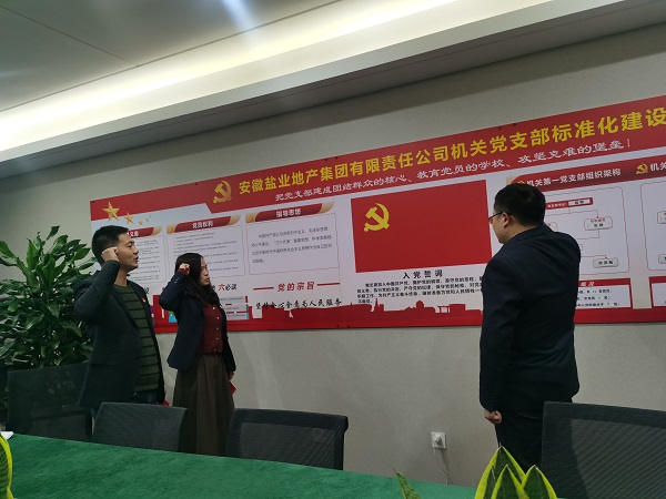 安徽鹽業(yè)地產(chǎn)集團(tuán)機(jī)關(guān)第一黨支部開展“佩黨徽、誦誓詞、贈(zèng)黨章、上黨課”黨員教育活動(dòng)