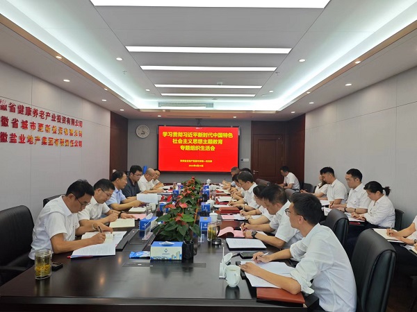 安徽鹽業地產集團本部第一黨支部召開主題教育專題組織生活會